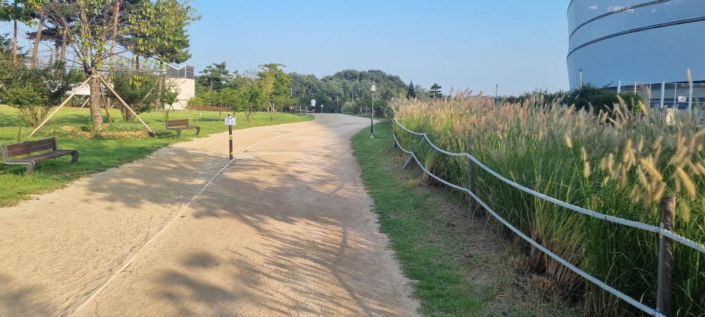 아침마다 1시간 맨발걷기