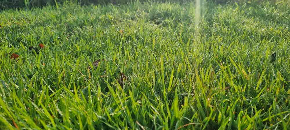 그 무덥던 여름도 지나가고 어느덧 가을이 다가와있다.