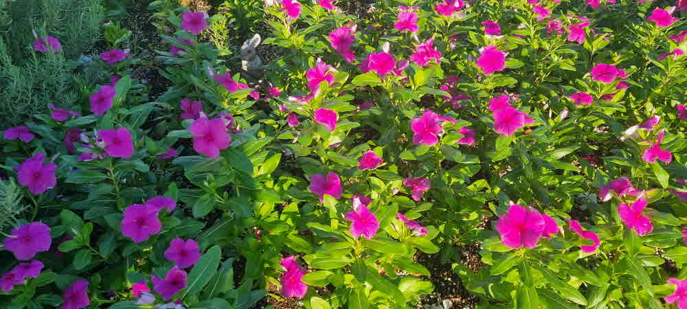 그 무덥던 여름도 지나가고 어느덧 가을이 다가와있다.