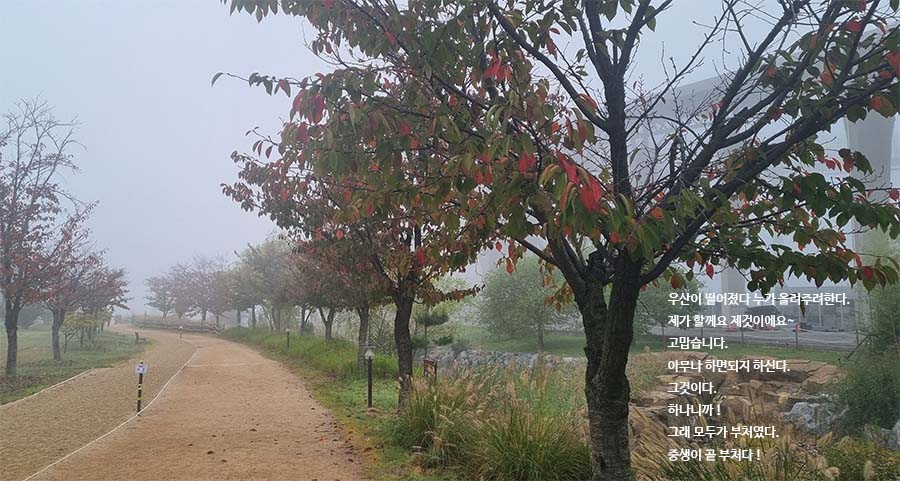 중생이 부처다.