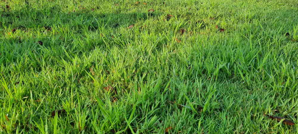 그 무덥던 여름도 지나가고 어느덧 가을이 다가와있다.