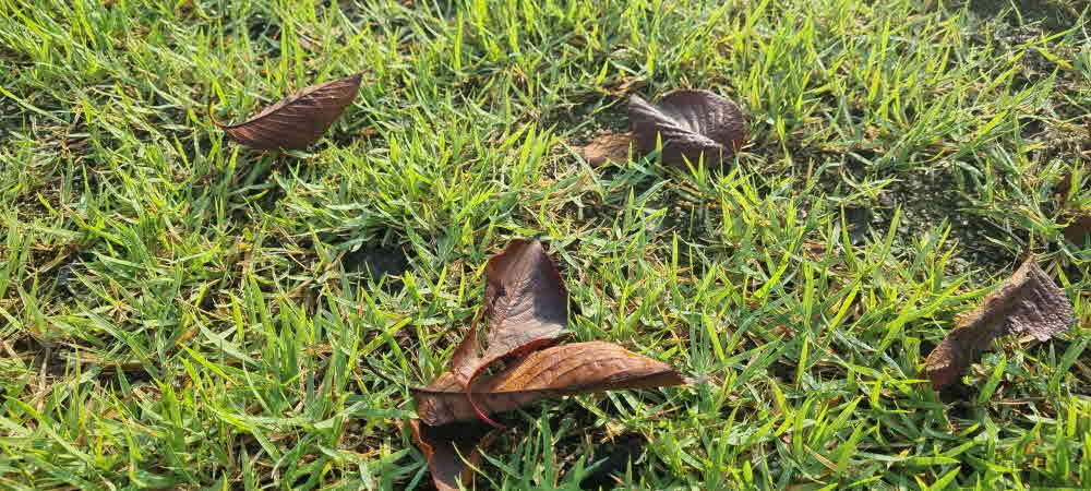 그 무덥던 여름도 지나가고 어느덧 가을이 다가와있다.