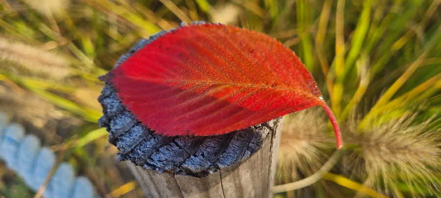 중생이 부처다.