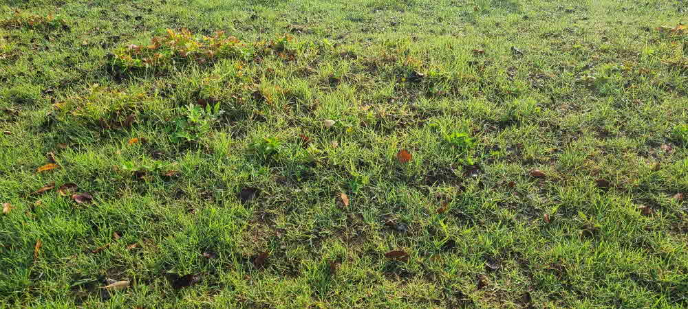 그 무덥던 여름도 지나가고 어느덧 가을이 다가와있다.